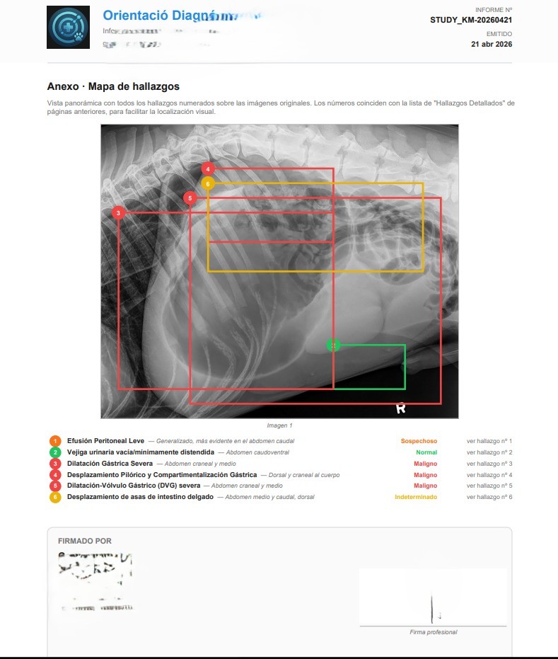 Página del anexo del informe PDF de RADIA para el caso veterinario: mapa de hallazgos con bounding boxes numerados del 1 al 6 sobre la radiografía abdominal del Labrador, leyenda con efusión peritoneal leve, vejiga urinaria, dilatación gástrica severa, desplazamiento pilórico, dilatación-vólvulo gástrico y desplazamiento de asas intestinales, con clasificación maligno/sospechoso/normal/indeterminado y firma profesional
